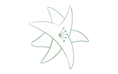 母親節(jié)百合花簡筆畫3