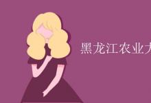 教育資訊：黑龍江農(nóng)業(yè)大學(xué)是985還是211