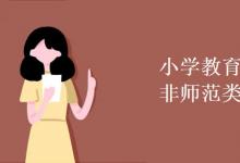 教育資訊:小學教育師范類和非師范類區(qū)別