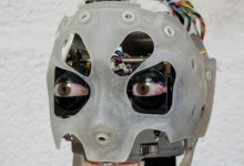 科學家說機器人可以誘使我們認為我們正在社交并減緩我們的反應