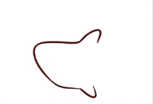如何畫(huà)鯊魚(yú)簡(jiǎn)單的畫(huà)圖步驟幼兒園畫(huà)鯊魚(yú)簡(jiǎn)單的畫(huà)圖步驟