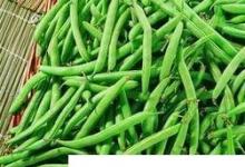 日常生活:四季豆的營養(yǎng)價值