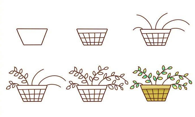 植物盆栽簡筆畫圖片帶顏色1