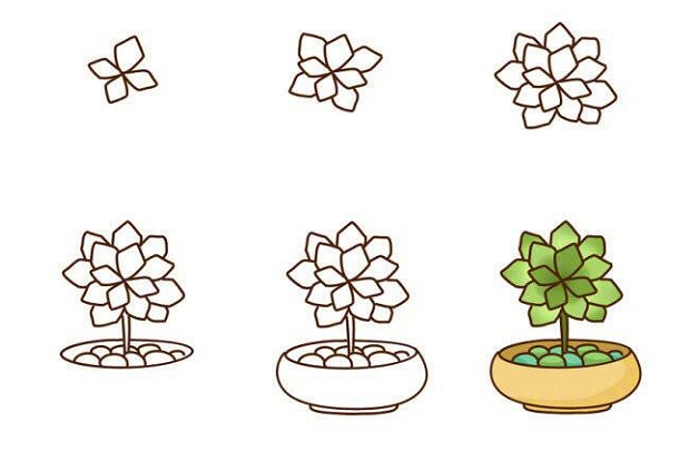 植物盆栽簡筆畫圖片帶顏色3