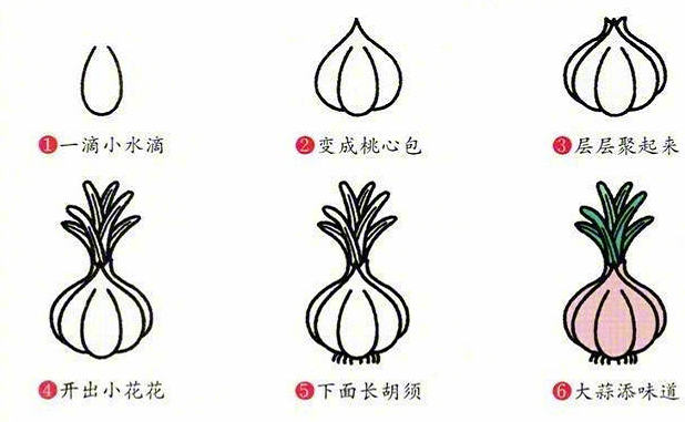 多種蔬菜的簡筆畫圖片大全2