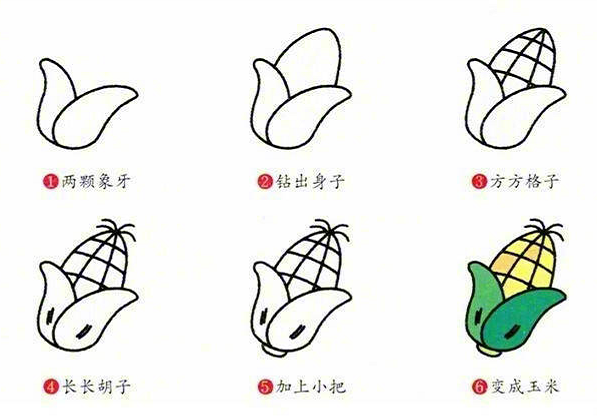 多種蔬菜的簡筆畫圖片大全3
