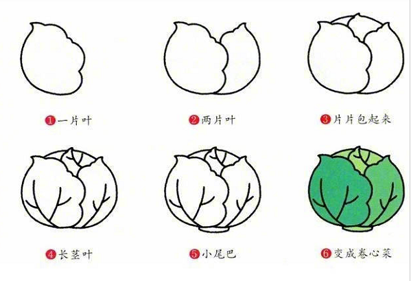 多種蔬菜的簡筆畫圖片大全6
