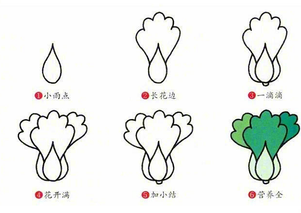 多種蔬菜的簡筆畫圖片大全4