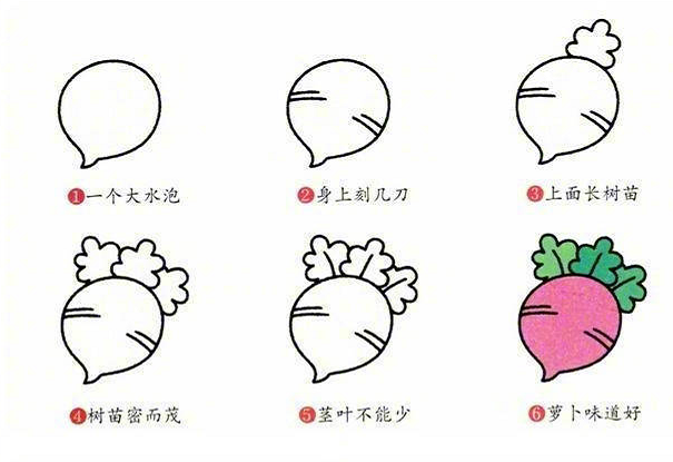 多種蔬菜的簡筆畫圖片大全8