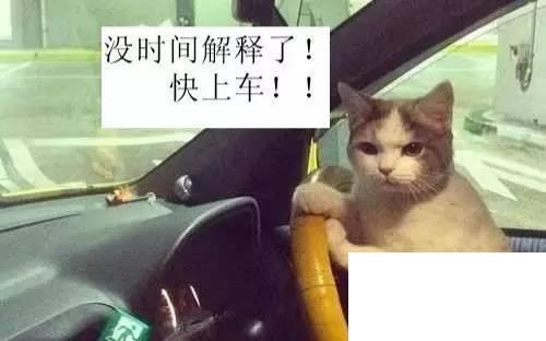網(wǎng)絡(luò)語(yǔ)開(kāi)車(chē)是什么意思