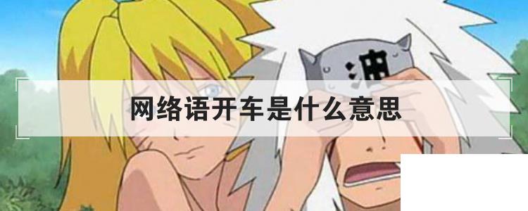 網(wǎng)絡(luò)語(yǔ)開(kāi)車(chē)是什么意思