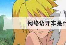 日常生活:網(wǎng)絡(luò)語(yǔ)開車是什么意思