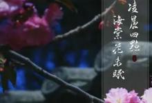 日常生活:看到海棠花未眠的下一句是什么