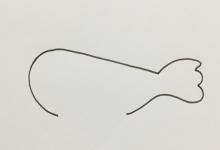 鳥的簡(jiǎn)筆畫色帶步驟