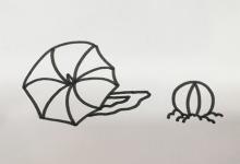 夏天如何畫(huà)簡(jiǎn)筆畫(huà)