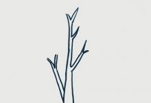 春天如何畫小樹(shù)簡(jiǎn)單又漂亮