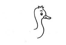 如何畫鴕鳥(niǎo)的簡(jiǎn)筆畫？
