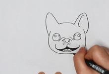 如何畫法國斗牛犬簡筆畫？