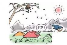 日常生活：被馬蜂蟄了應該怎么辦呢