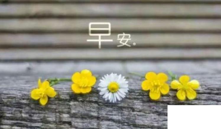 早上的問候語(yǔ)大全