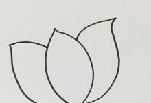 如何給荷花畫簡(jiǎn)單的筆畫？