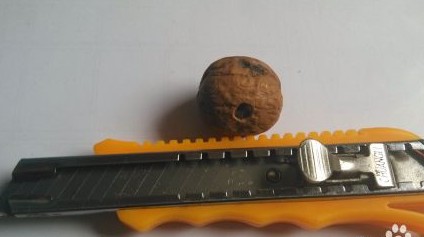 幼兒手工：手工制作玩具風(fēng)車