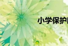 小學(xué)保護(hù)眼睛的手抄報