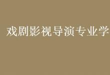 教育資訊：戲劇影視導演專業(yè)學什么