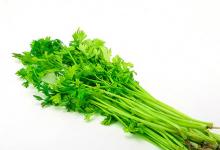 最美兒童畫實(shí)貼 這個(gè)想法我給100分