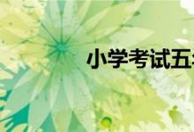 小學(xué)考試五年級(jí)作文怎樣寫