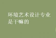 教育資訊：環(huán)境藝術設計專業(yè)是干嘛的