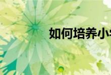 如何培養(yǎng)小學孩子寫好作文