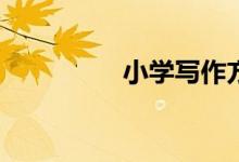 小學寫作方法有哪幾種？