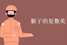 教育資訊：猴子的復(fù)數(shù)英文怎么寫
