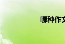 哪種作文類(lèi)型好寫(xiě)？