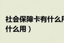 社會(huì)保障卡有什么用途農(nóng)村的(社會(huì)保障卡有什么用)