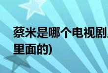 蔡米是哪個電視劇里面的(蔡米是什么電視劇里面的)