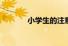 小學(xué)生的注意力有哪些特點(diǎn)？