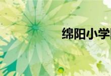 綿陽小學(xué)網(wǎng)上怎么報(bào)名