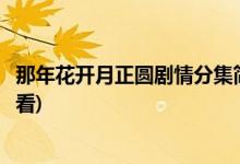 那年花開月正圓劇情分集簡(jiǎn)介(那年花開月正圓完整版免費(fèi)觀看)
