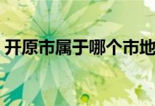 開原市屬于哪個市地圖（開原市屬于哪個市）