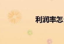 利潤率怎么算公式小學