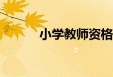 小學(xué)教師資格報(bào)考條件是什么？