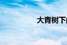 大青樹下的小學(xué)手抄報(bào)