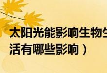 太陽(yáng)光能影響生物生活的什么因素（太陽(yáng)對(duì)生活有哪些影響）