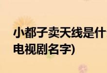 小都子賣(mài)天線是什么電視劇(小都子賣(mài)天線的電視劇名字)
