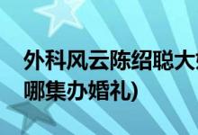 外科風云陳紹聰大婚哪一集(外科風云陳紹聰哪集辦婚禮)