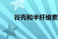 谷殼和半纖維素的主要成分是什么？