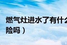 燃?xì)庠钸M(jìn)水了有什么危害（燃?xì)庠钸M(jìn)水了有危險嗎）