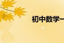 初中數(shù)學(xué)一對一輔導(dǎo)經(jīng)驗(yàn)